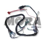 RAMAL O INSTALACION DE JAGUAR CG 150