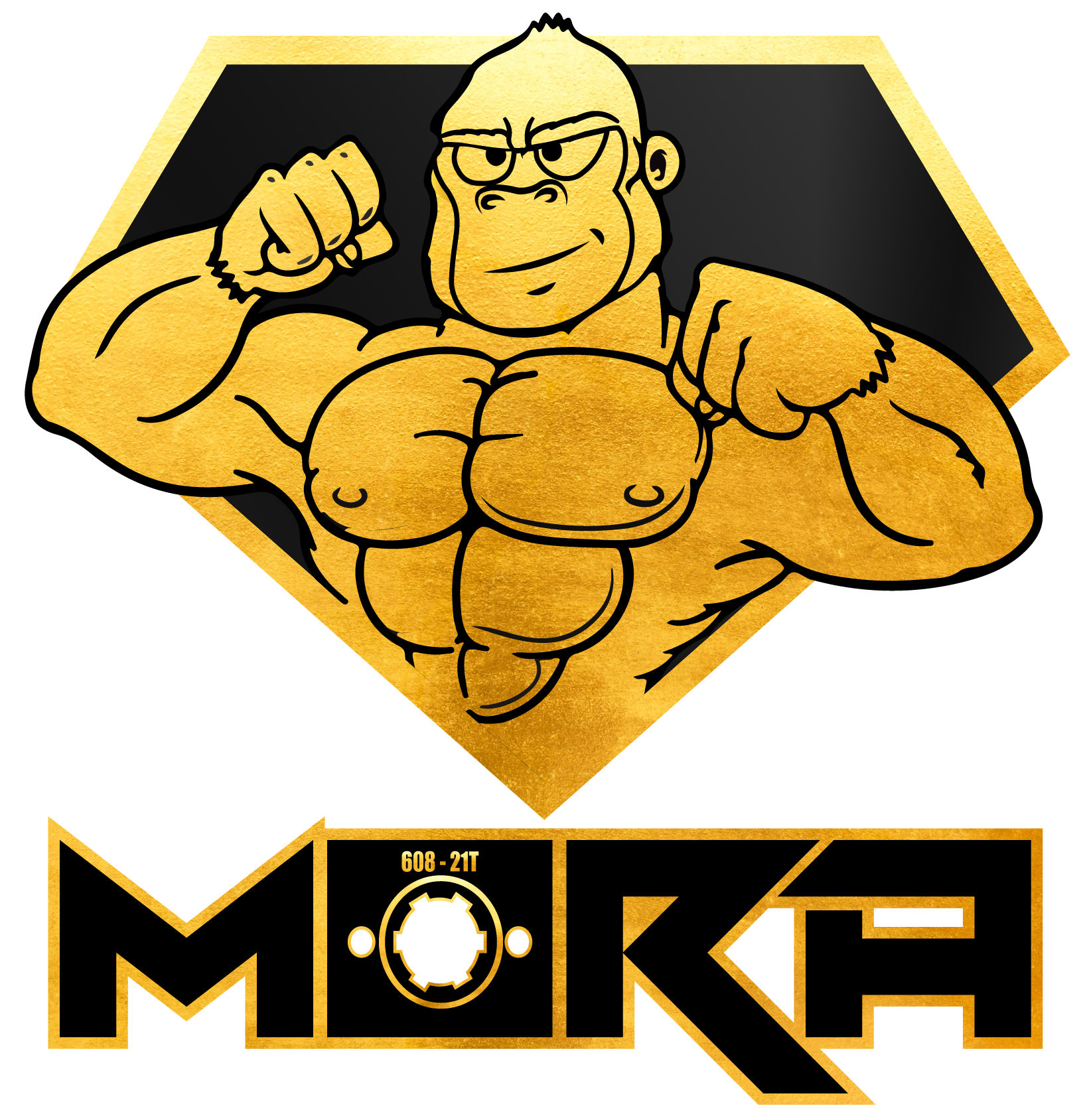 Mora Motors Test